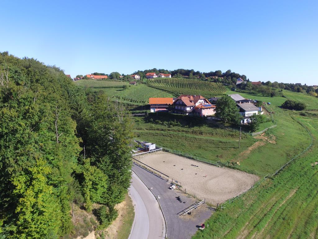 Guesthouse Kaucic Benedikt v Slovenskih Goricah エクステリア 写真